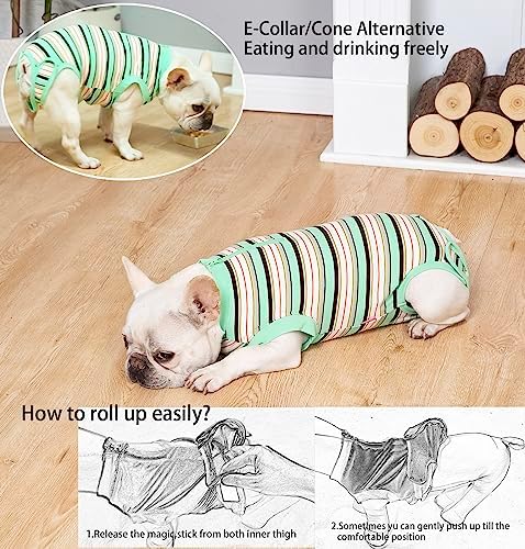 Recovery Suit for Female Dogs, Dog Cone Alternative After Spay