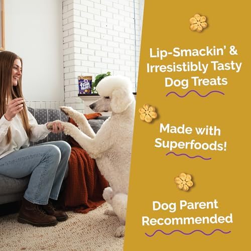 Fruitables Baked Dog Treats, Healthy Pumpkin Treat for Dogs, Low Calorie & Delicious, Made Without Wheat, Corn and Soy, Made in the USA, Allergy Friendly, Chicken and Cranberry Flavor, 32 oz