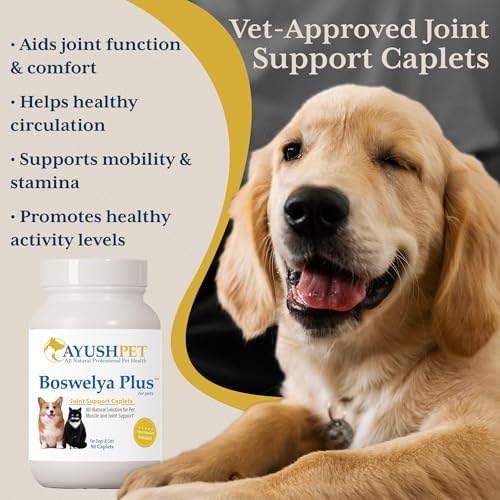 Ayush Pet Boswelya Plus, Boswellia for Dogs, 90 Servings