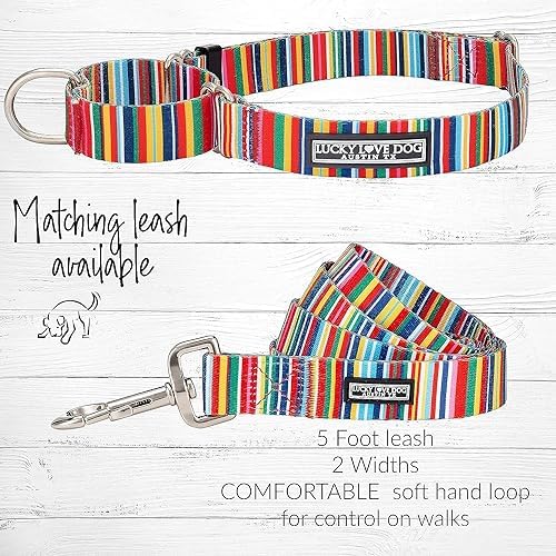 Lucky Love Dog Martingale Collar & Leash Set No Slip Cute – Hippie, Medium