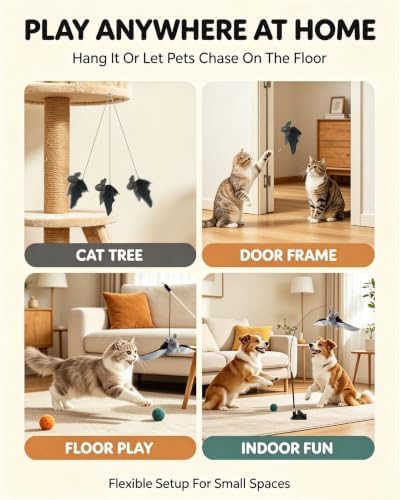 Flying Bat Dog Toy, Interactive Flying Bat Toy for Dogs with Flapping Wings, Chirping Sounds, USB Rechargeable, Touch Activated, Hanging or Floor Toy for Dogs, Puppies and Cats to Reduce Boredom，1PCS