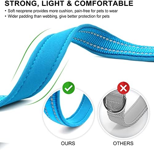 azuza Reflective Dog Collar, Neoprene Padded Small Dog Collar, Blue, S