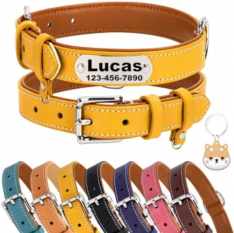 Personalized Genuine Leather Dog Collar with Name Phone Number-Yellow-S