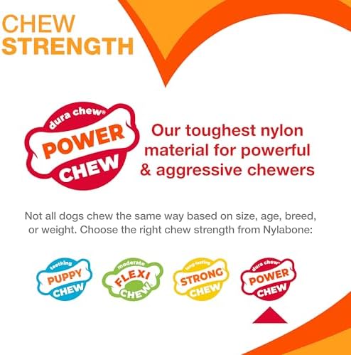 Nylabone Power Chew Cheese Bone Dog Chew Toy, Cheese Flavor, X-Large