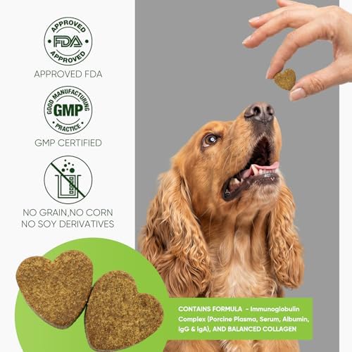 Hip Joint Supplement for Dogs 200 Count Chews Glucosamine Chondroitin MSM