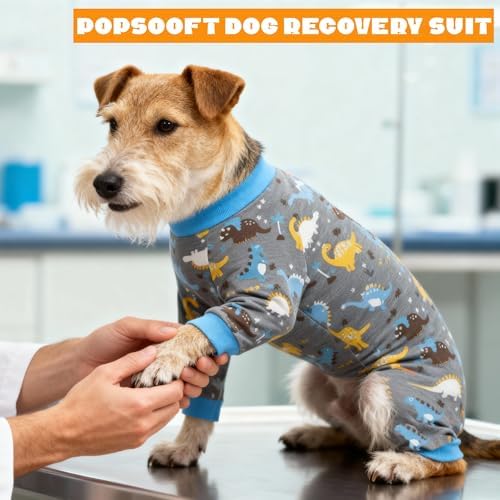 Recovery Suit for Dogs Full Zipper, Four-Legged Onesie Dog Recovery Suit After Surgery, Cute Soft Bodysuit Cone Alternative Male Female Dog Neuter Anti Licking Wounds, Dinosaur, 4X-Large