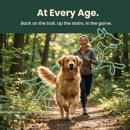 Hip and Joint Supplement for Dogs with Glucosamine, 60 Soft Chews