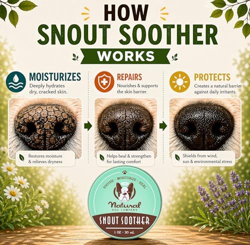Natural Dog Company Snout Soother Dog Nose Balm – Moisturizer for Dry Crusty Noses, Summer Care for Outdoor Dogs, Hot Weather, Beach Days & Walks with Coconut Oil & Shea Butter, 2 oz Tin