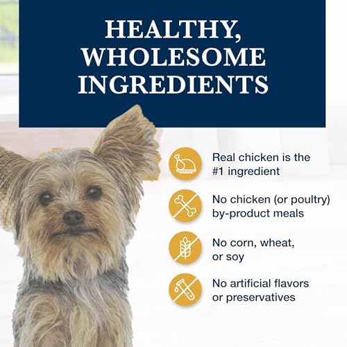 Blue Buffalo Natural Veterinary Diet Kidney Support Chicken Dog Food, 22 lb