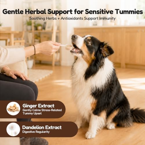 PETNANNY Pumpkin Powder for Dogs, Anal Gland Health Fiber Supplement Stop Scooting with Inulin, Probiotics & Enzymes to Support Firm Stools, Digestive Comfort, Relieve Diarrhea & Constipation