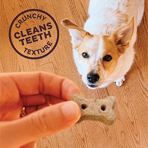Old Mother Hubbard Wellness All the Fixins Dog Biscuits, Natural, Training Treats, Turkey & Sweet Potato Flavor, Mini Size (16 Ounce Bag) (Pack of 2)