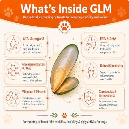 Paw Parent Macho's Secret Powder, Paw Parent Green lipped Mussel, Dog Hip & Joint Support Powder, Helps Support Joint Mobility and Flexibility, 5.29 oz