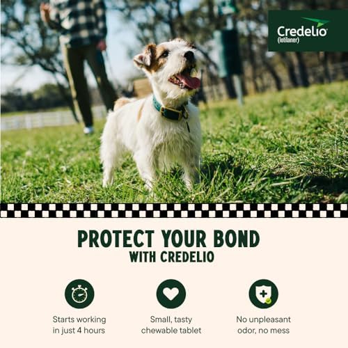 Credelio (lotilaner) Tick & Flea Treatment for Dogs 6.1-12 lbs., 3ct