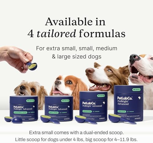 PetLab Co. ProBright Advanced Dental Powder, Medium Sized Dogs, 30 Scoops