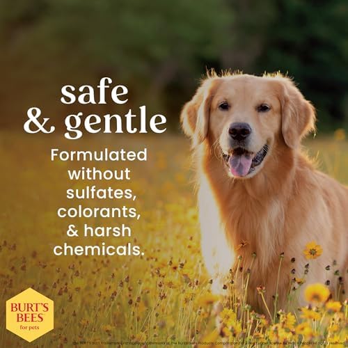 BURT'S BEES FOR PETS Deodorizing Dog Spray, Apple & Rosemary, 10 Fl Oz
