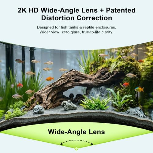 2K AI Reptile & Aquarium Camera with Wide-Angle Lens