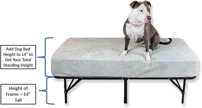Generic Queen Dog Bed - Elevated/Raised Foam Dog Bed Extension - 10" Height, White