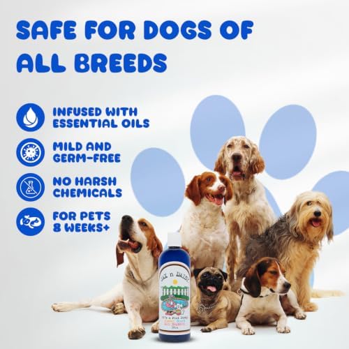 Jax n Daisy it s a Pool Pawty Summer Scent Dog Conditioner Essential Oil Conditioner for Dogs Gentle Dog Hair Cruelty Free Vegan Fur Made in the USA 16oz