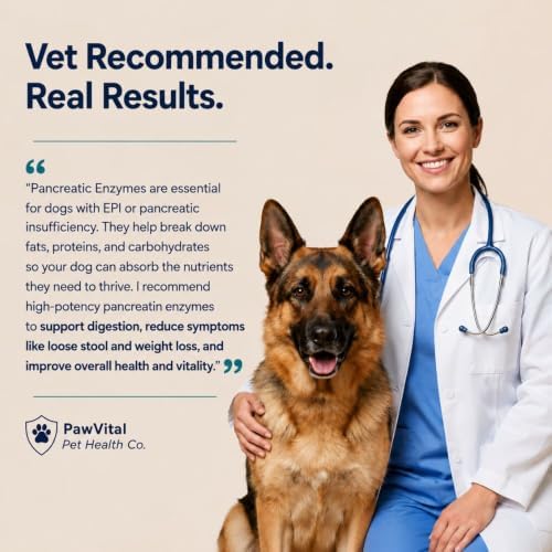 Pancreatic Enzymes for Dogs – 10X High Potency Porcine Pancreatin Digestive Enzyme Powder with Amylase, Protease & Lipase – EPI Support, Digestion & Nutrient Absorption – 340g