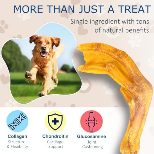 Duck Feet for Dogs, 12 Count Dog Chews Joint & Dental Health Supplement