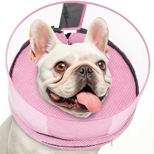 Inflatable Dog Cone with Clear Shield for Added Coverage