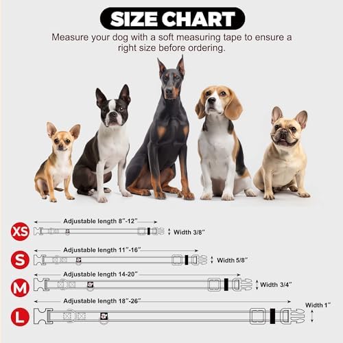 azuza Airtag Dog Collar, Medium Dog Collar with Airtag Holder, Teal, M