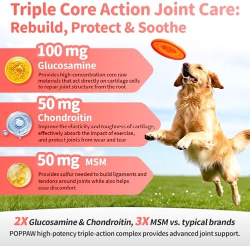 Joint Supplement for Dogs - 10 in 1 Hip and Joint Supplement Drops with Hyaluronic Acid, Liquid Glucosamine for Dogs with Chondroitin, MSM & Omega 3-2 FL.Oz - for All Breeds & Sizes