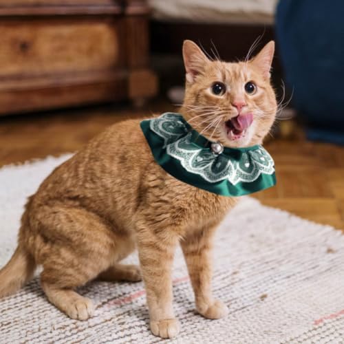 Cat Lace Collar with Pearl Bow Tie, Adjustable Polyester Neckwear