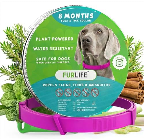 FurLife Flea and Tick Collar for Dogs – Waterproof Pink Dog Collar, Pet Supplies for Tick and Flea Prevention for Dogs, Safe for All Breeds