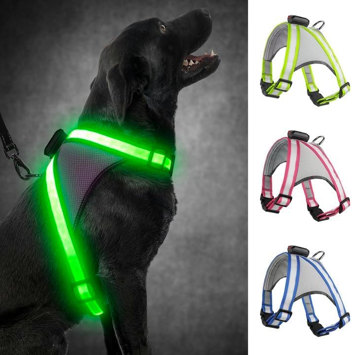 Visinite LED Dog Harness, USB Rechargeable Light Up Dog Vest, 2 Illuminate Modes Glow in The Dark Dog Harness, Adjustable Lighted Pet Harness Light for Night Walking Safety (Green, L)
