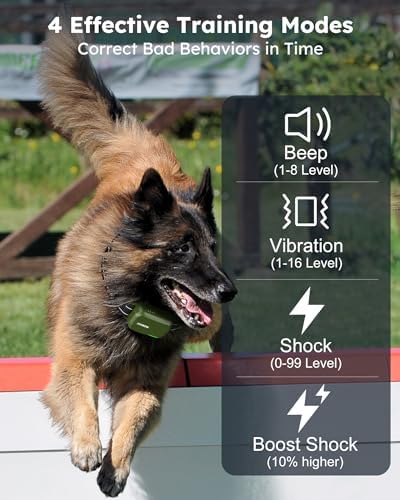 Dog Shock Collar for 2 Dogs- Dog Training Collar with Remote 4200FT, IPX8 Waterproof Electric Dog Collar with 4 Training Modes, Security Lock, Rechargeable eCollar for 10-120lbs Dogs