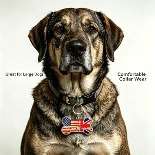 HSIAHOU Custom Pet ID Tags, Personalized Dog Tag Cat Tag(EU-US)