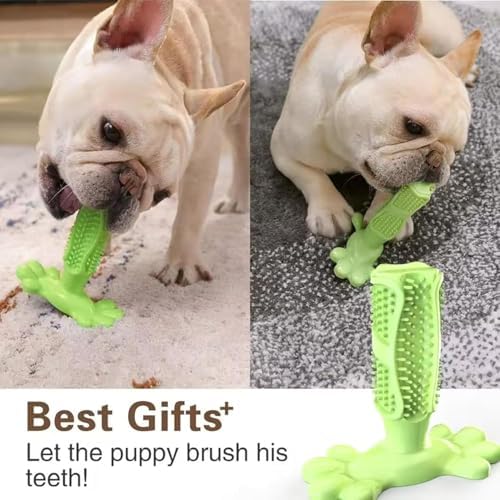 Chew Toy for Dog Toothbrush Stick Dog Toys for Aggressive Chewers Interactive Toys Treats Tough Toy to Keep Them Busy Chew for Small Dogs (Green, L)