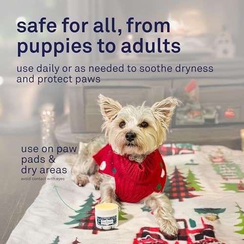 Petpost | Paw Protection for Dogs - Organic Sunflower Oil and Beeswax Balm for Hot Pavement - Wax Coats Dog Feet to Prevent Burns from Heat & Cold 0.64 oz.