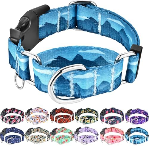 Martingale Collar for Dogs with Buckle Dog Collar Adjustable Soft Nylon Boy Dog Collars for Extra Large Dogs, Blue Sunset