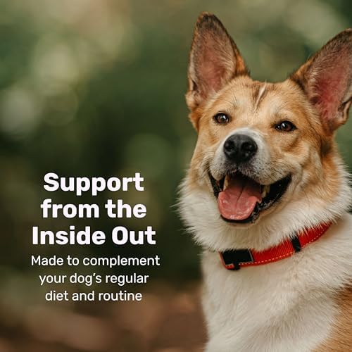 Badlands Ranch Super Skin & Coat Soft Chews for Dogs, 60 Chews