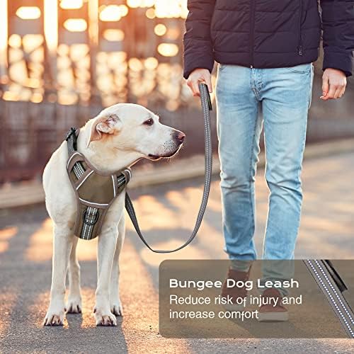 No Pull Dog Harness for Large Dogs, Adjustable No Choke Pet Vest with Dog Leash Fit Smart Reflective Pet Walking Harness for Training Easy Control Soft Handle Brown XL
