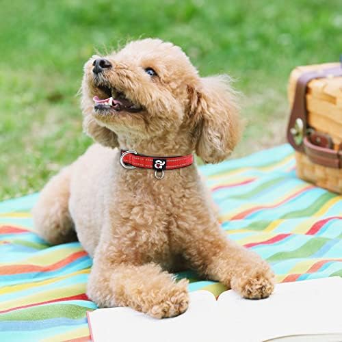 azuza Reflective Dog Collar, Neoprene Padded Puppy Collar, Red, XS