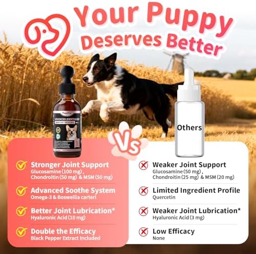 Joint Supplement for Dogs - 10 in 1 Hip and Joint Supplement Drops with Hyaluronic Acid, Liquid Glucosamine for Dogs with Chondroitin, MSM & Omega 3-2 FL.Oz - for All Breeds & Sizes