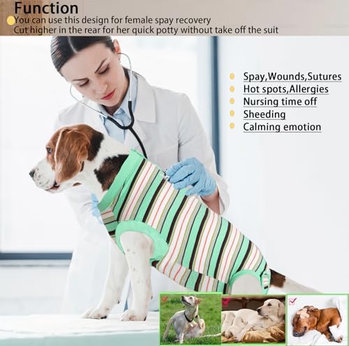 Recovery Suit for Female Dogs, Dog Cone Alternative After Spay