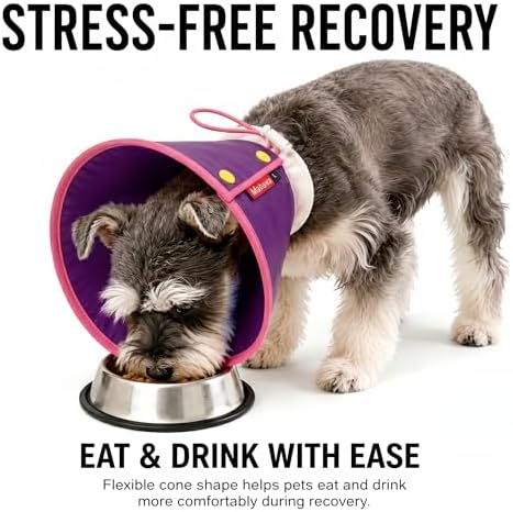 Soft Dog Cone Collar for Dogs & Cats, Adjustable Elizabethan Recovery Collar, Lightweight EPE Material, Post-Surgery Wound Protection (Purple, L)