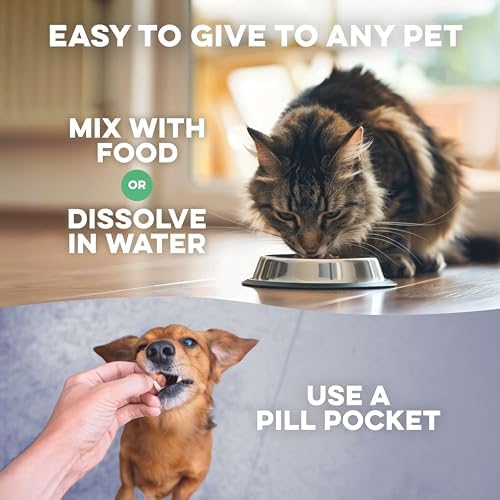 BestLife4Pets Walk-Easy Dog Hip & Joint Supplement - 2 Pack