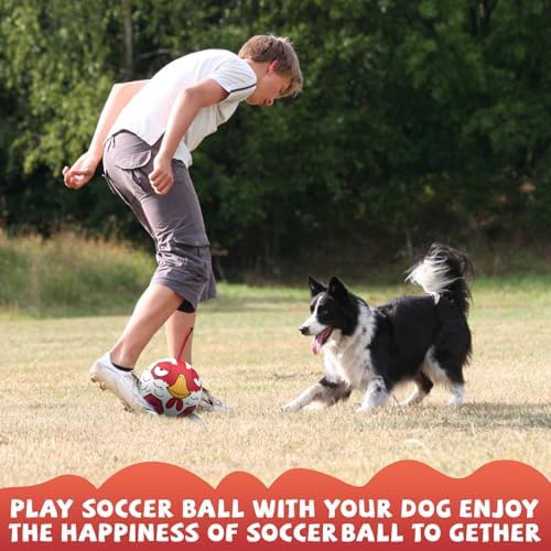 QDAN Large Dog Toys Soccer Ball, 8 Inch Herding Dog Balls for Large Dogs