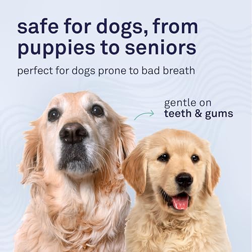 Petpost | Fresh Breath Foam for Dogs - Mint & Apple Flavored Dental Solution that Eliminates Bad Breath - Natural Tooth Cleaning Treatment 5 oz.
