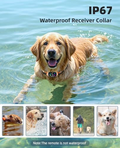 2-in-1 Dog Shock Collar and Bark Collar for Dogs – 3300FT Dog Training Collar with Remote, IP67 Waterproof e Collar with Anti-Bark/Beep/Vibration/Shock Modes for Small Medium Large Dog(8-120Lbs)