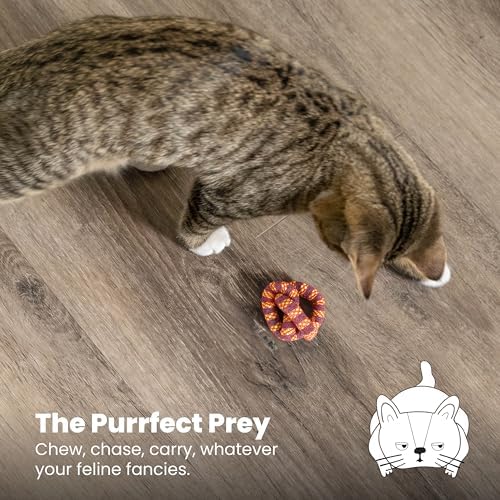 Catstages Plaque Away Pretzel Cat Toy – Interactive Catnip Dental Chew Toy to Help Clean Teeth, Fun for Play and Chewing, Orange (Pack of 2)