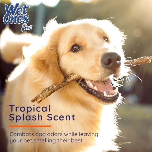 Wet Ones for Pets Antibacterial Dog Paw Wipes, Tropical Splash, 50 Count