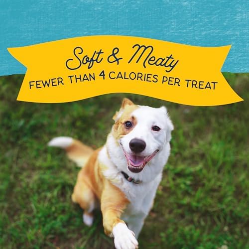 Natural Balance Rewards Minis, Training Treats for Dogs, Turkey, 5.3 oz