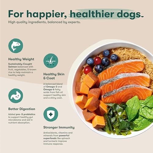 Jinx Dry Dog Food - Real Salmon, Brown Rice & Sweet Potato, 11.5lb