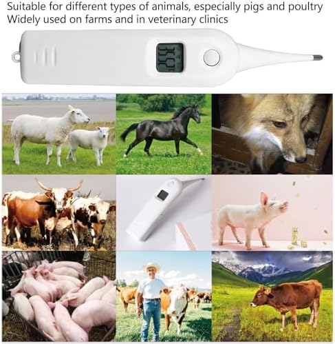 RiToEasysports Digital Pet Thermometer Professional Accuracy Animal Thermometer for Dogs Horses Pigs Reliable and Easy to Use
